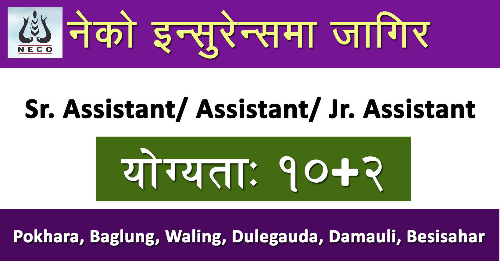 sr-assistant-assistant-jr-assistant-job-in-nepal-neco-insurance