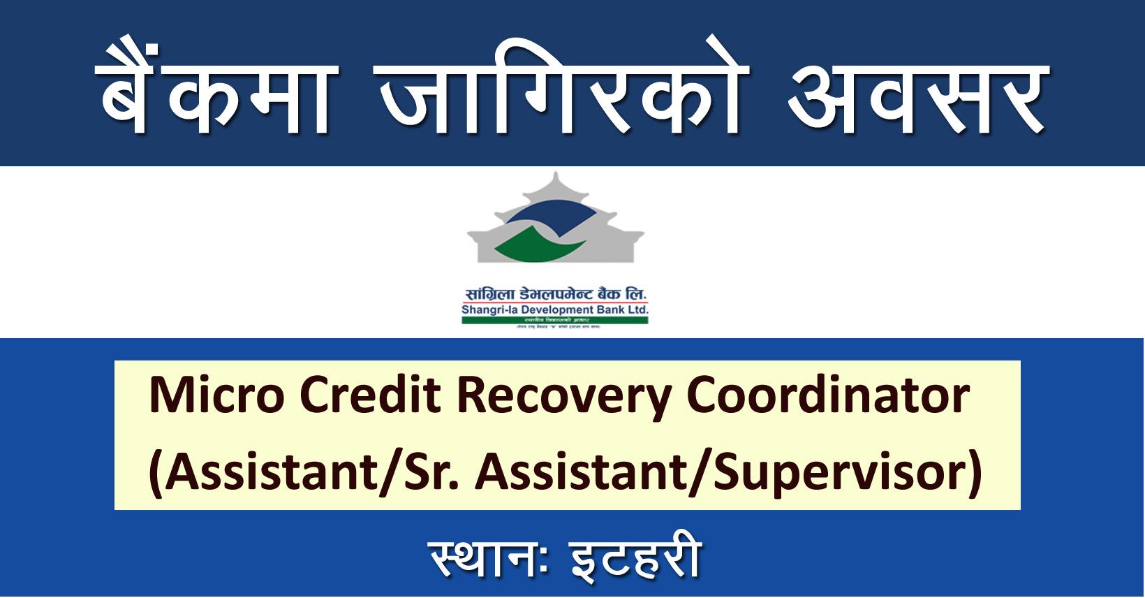 micro-credit-recovery-coordinator-assistant-sr-assistant-supervisor