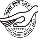 Nelumbo Nepal
