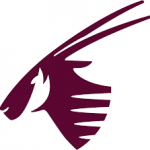 Qatar Airways