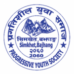 Progressive Youth Society
